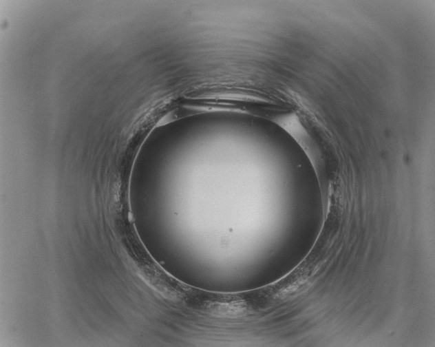 X0000064740548200602171710