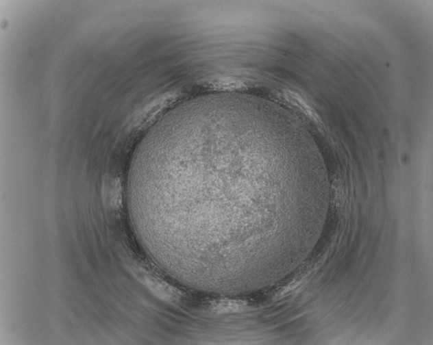 X0000064740549200602171710