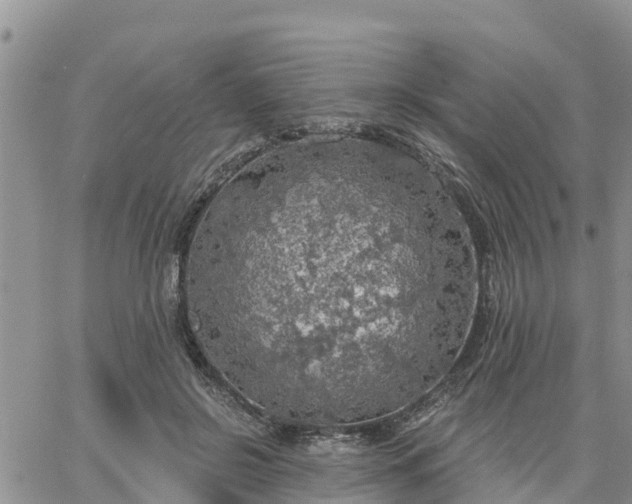 X0000064740550200602171710