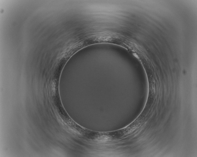 X0000064740551200602171710