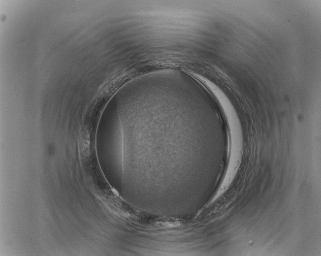 X0000064740552200602171710