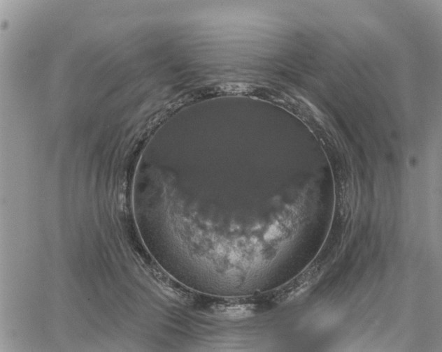 X0000064740553200602171710