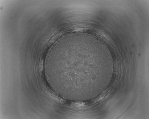 X0000064740554200602171710