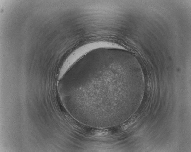 X0000064740555200602171710