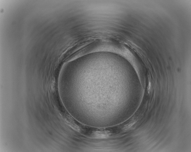 X0000064740556200602171710