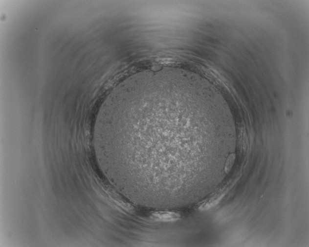 X0000064740557200602171710