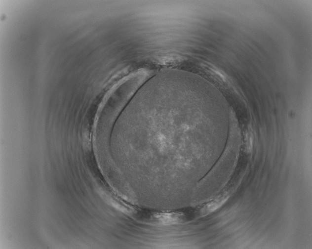 X0000064740558200602171710