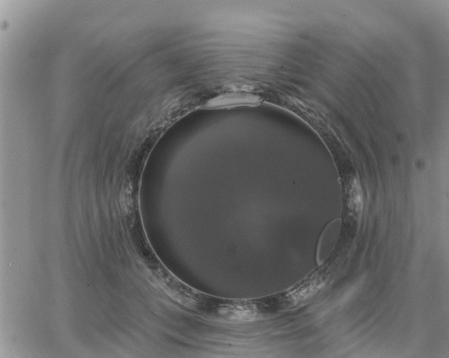 X0000064740559200602171710