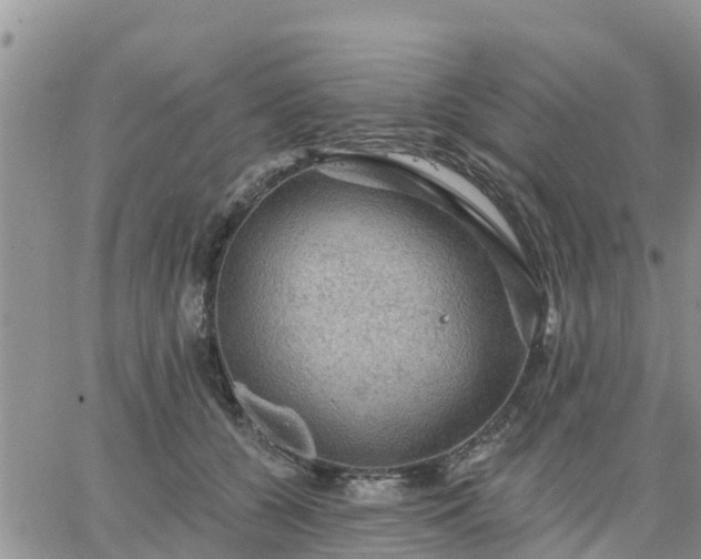 X0000064740560200602171710