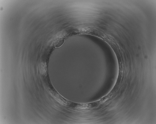 X0000064740563200602171710