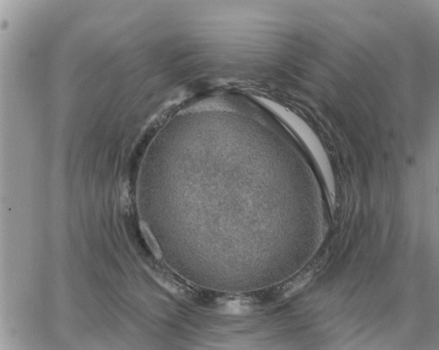 X0000064740564200602171710