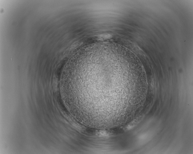 X0000064740565200602171710