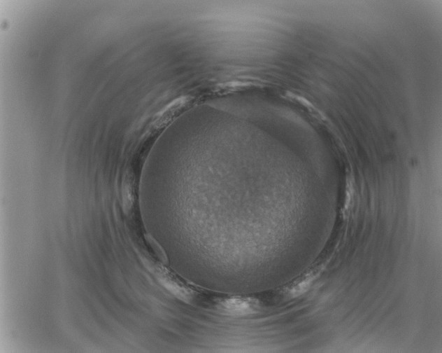 X0000064740566200602171710