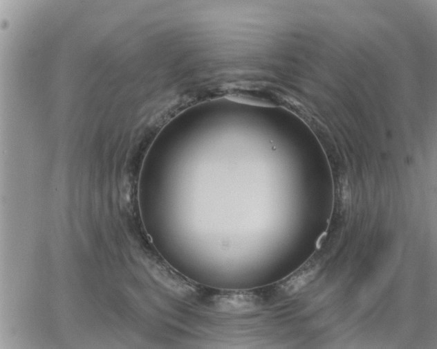 X0000064740567200602171710