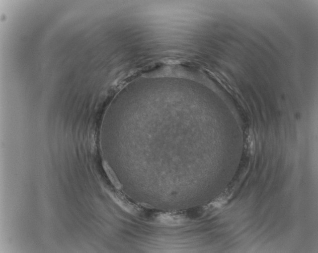 X0000064740568200602171710