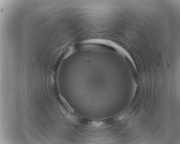 X0000064740570200602171710