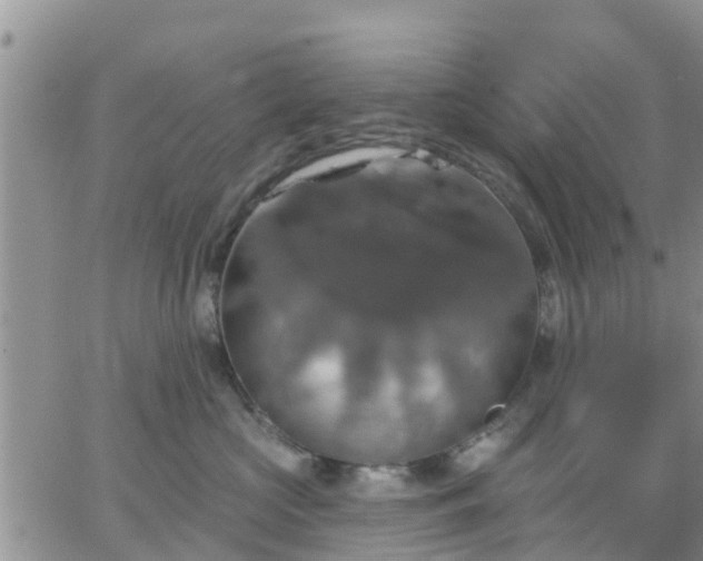 X0000064740573200602171710