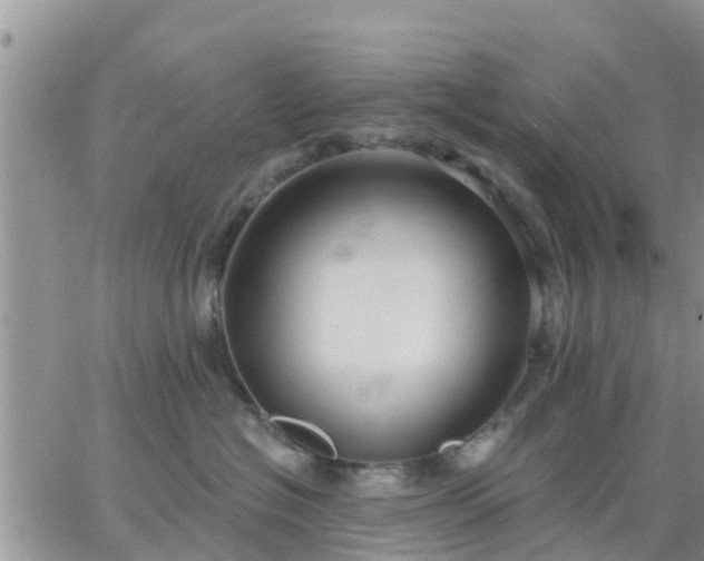 X0000064740574200602171710