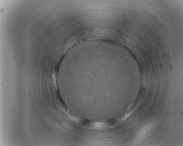 X0000064740575200602171710