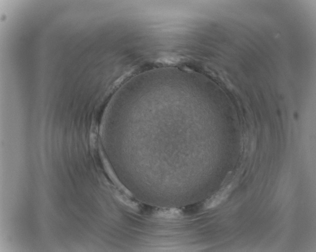 X0000064740576200602171710