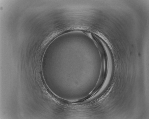 X0000064740577200602171710