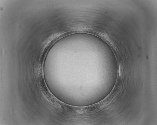 X0000064740579200602171710