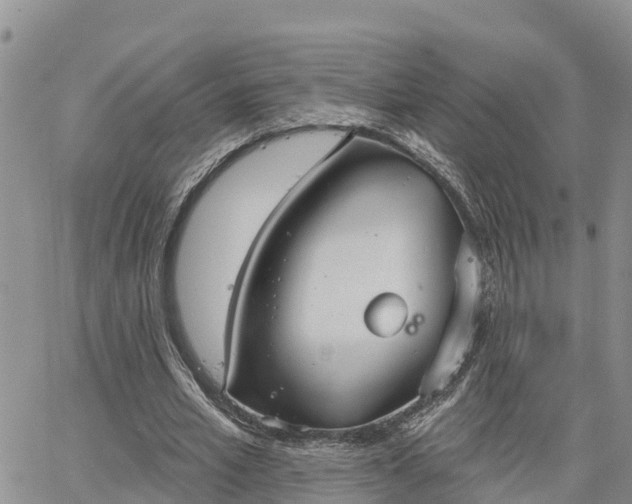 X0000064740581200602171709