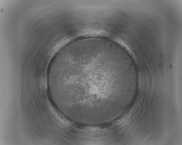 X0000064740582200602171709