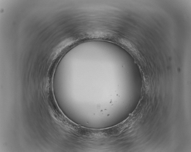 X0000064740583200602171709