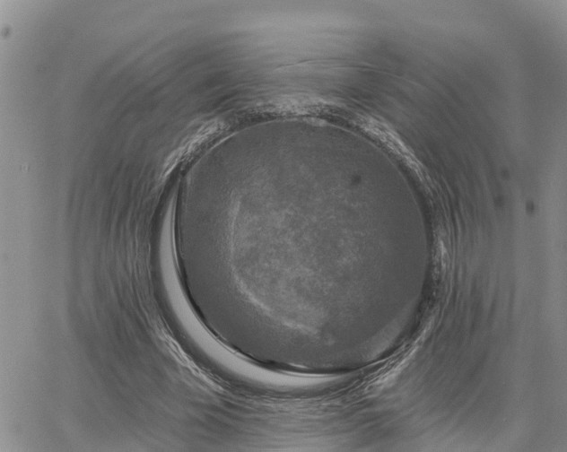 X0000064740585200602171709