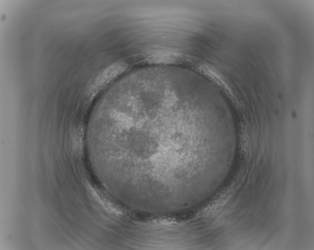 X0000064740586200602171709