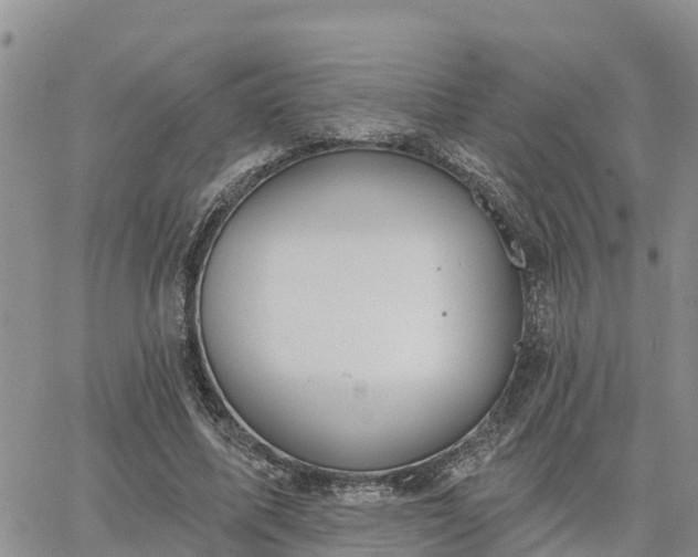 X0000064740587200602171709