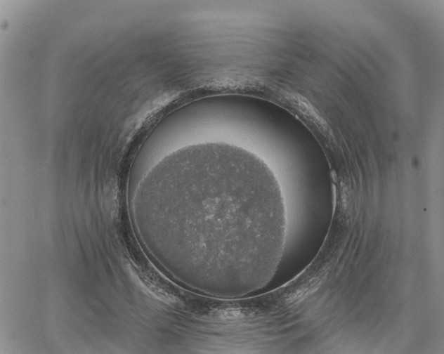 X0000064740588200602171709