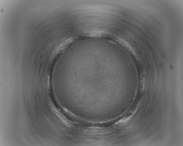 X0000064740589200602171709