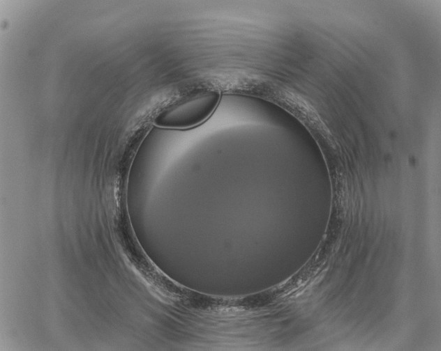 X0000064740590200602171709