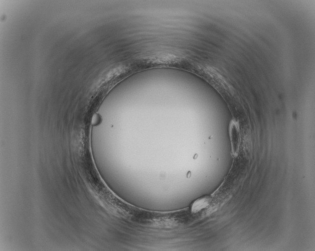 X0000064740591200602171709