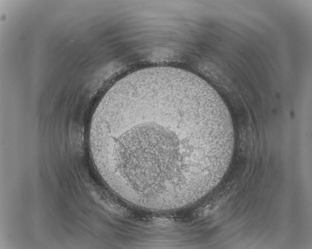 X0000064740592200602171709