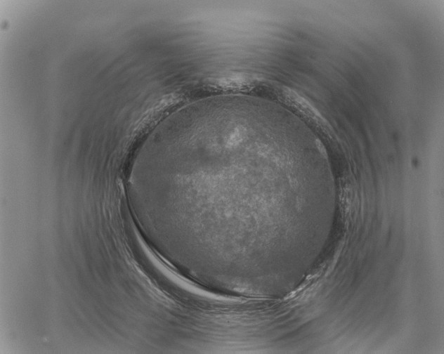 X0000064740593200602171709