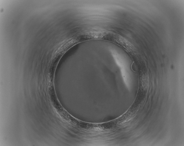 X0000064740594200602171709