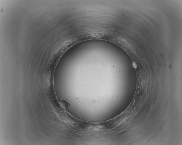 X0000064740595200602171709