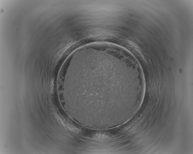 X0000064740596200602171709