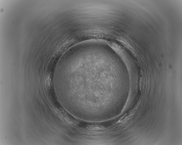 X0000064740597200602171709