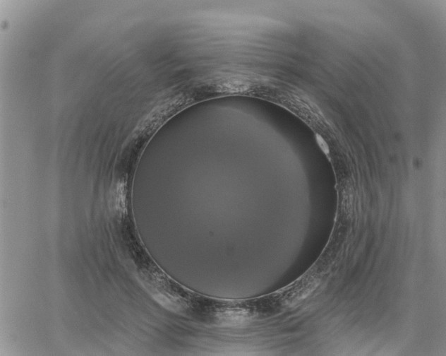 X0000064740598200602171709