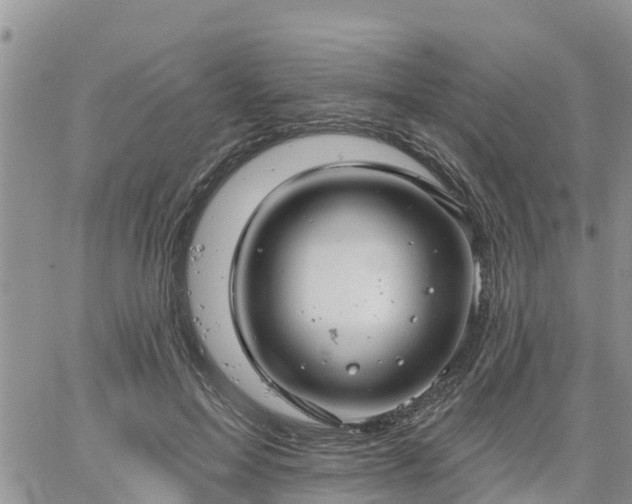 X0000064740599200602171709