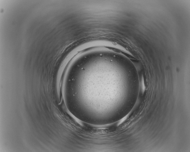 X0000064740600200602171709