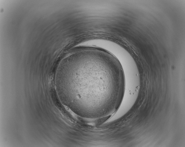 X0000064740601200602171709