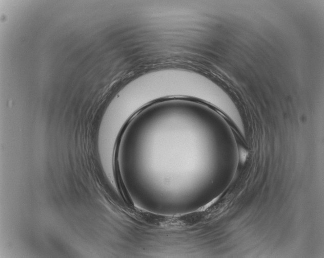 X0000064740603200602171709