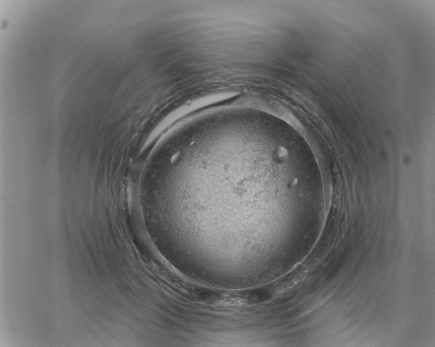 X0000064740604200602171709