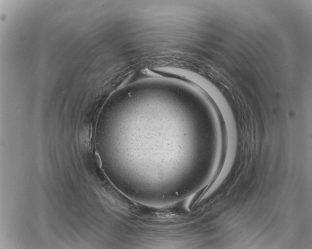 X0000064740605200602171709