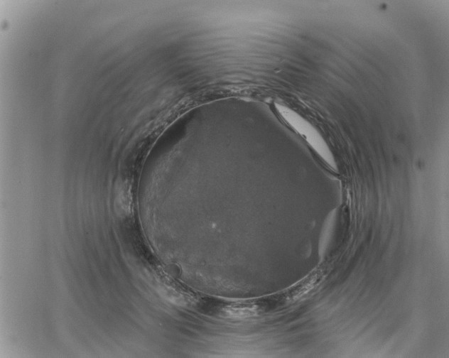 X0000064740606200602171709